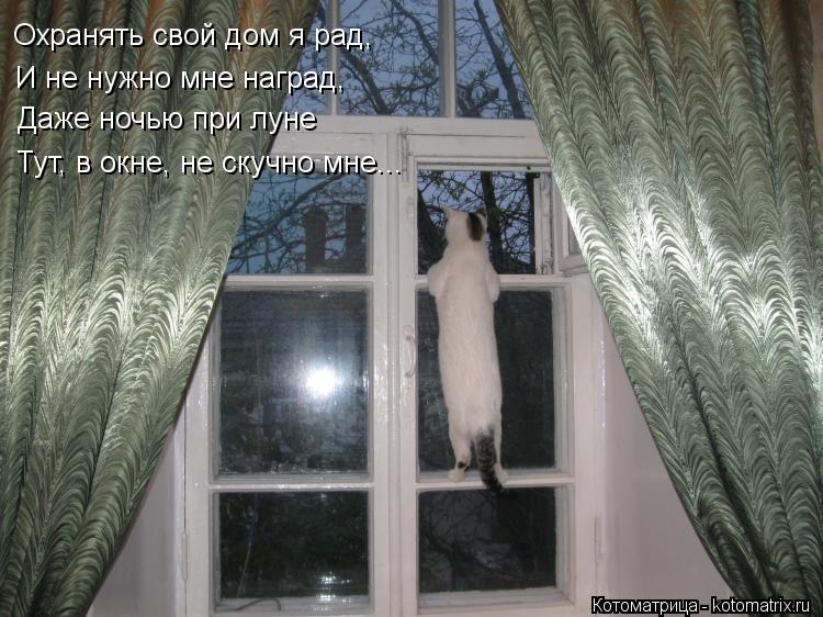 Котоматрица: Охранять свой дом я рад, И не нужно мне наград, Даже ночью при луне Тут, в окне, не скучно мне...