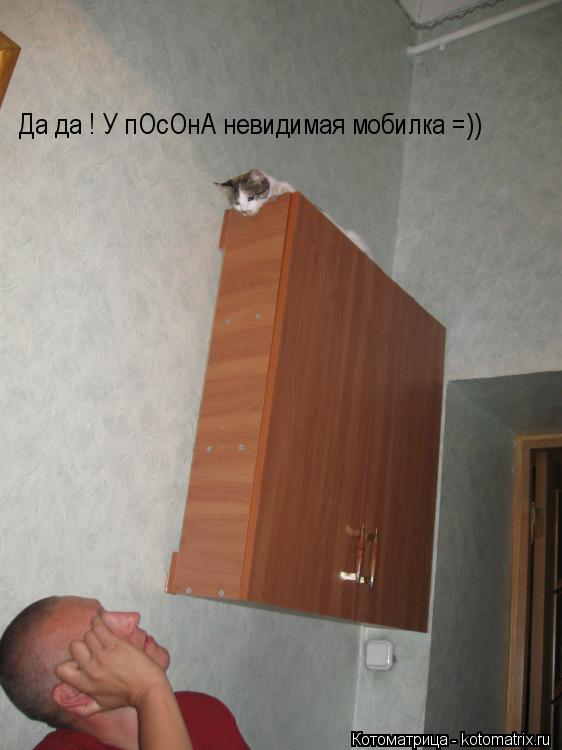 Котоматрица: Только на шкафу можно спрятаться от психа говорящего по невидимому мобильнику !!! Да да ! У пОсОнА невидимая мобилка =))