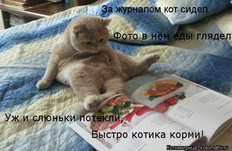 Котоматрица: За журналом кот сидел Фото в нём еды глядел Уж и слюньки потекли, Быстро котика корми!