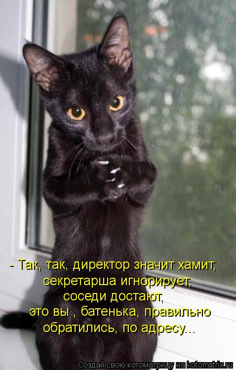 - Так, так, директор значит хамит, секретарша игнорирует, соседи достают, это вы , батенька, правильн... Котоматрица: - Так, так, директор значит хамит, секретарша игнорирует, соседи достают, это вы , батенька, правильно обратились, по адресу...