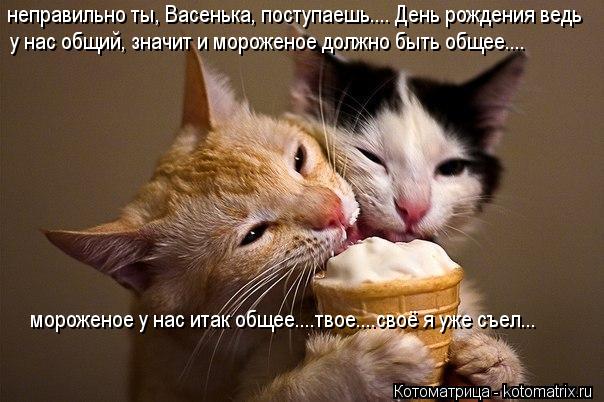 неправильно ты, Васенька, поступаешь.... День рождения ведь у нас общий, значит и мороженое должно бы... Котоматрица: неправильно ты, Васенька, поступаешь.... День рождения ведь у нас общий, значит и мороженое должно быть общее.... мороженое у нас итак общее....т