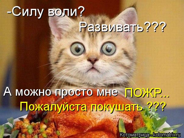 Котоматрица: -Силу воли? Развивать??? А можно просто мне ПОЖР... Пожалуйста покушать ???