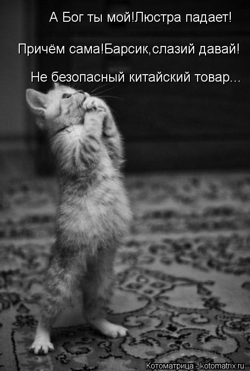 Котоматрица: А Бог ты мой!Люстра падает! Причём сама!Барсик,слазий давай! Не безопасный китайский товар...