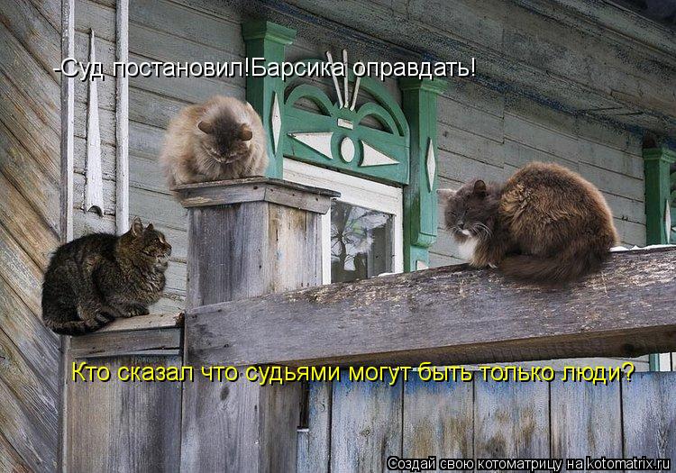 -Суд постановил!Барсика оправдать! Кто сказал что судьями могут быть только люди?... Котоматрица: -Суд постановил!Барсика оправдать! Кто сказал что судьями могут быть только люди?
