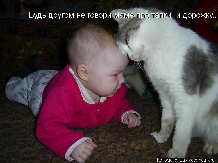 Будь другом не говори маме про тапки и дорожку...... Котоматрица: Будь другом не говори маме про тапки и дорожку...