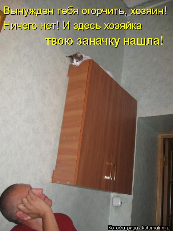 Вынужден тебя огорчить, хозяин! Ничего нет! И здесь хозяйка твою заначку нашла!... Котоматрица: Вынужден тебя огорчить, хозяин! Ничего нет! И здесь хозяйка твою заначку нашла!