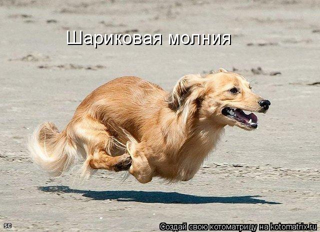 Шариковая молния... Котоматрица: Шариковая молния