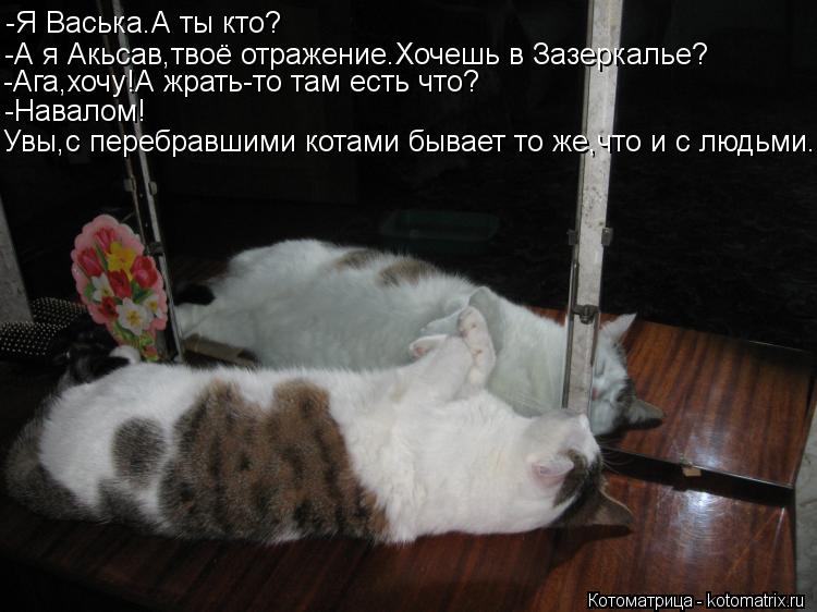 Я твоё отражение стих Я твоё отражение стих