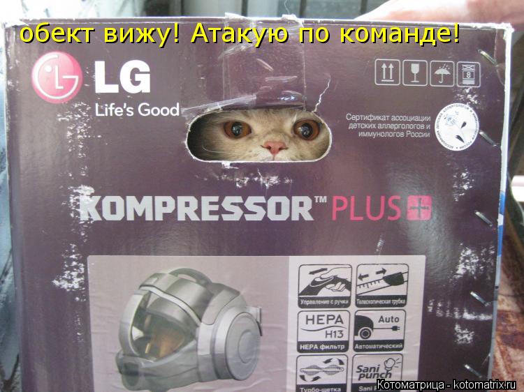 Котоматрица: обект вижу! Атакую по команде! обект вижу! Атакую по команде!