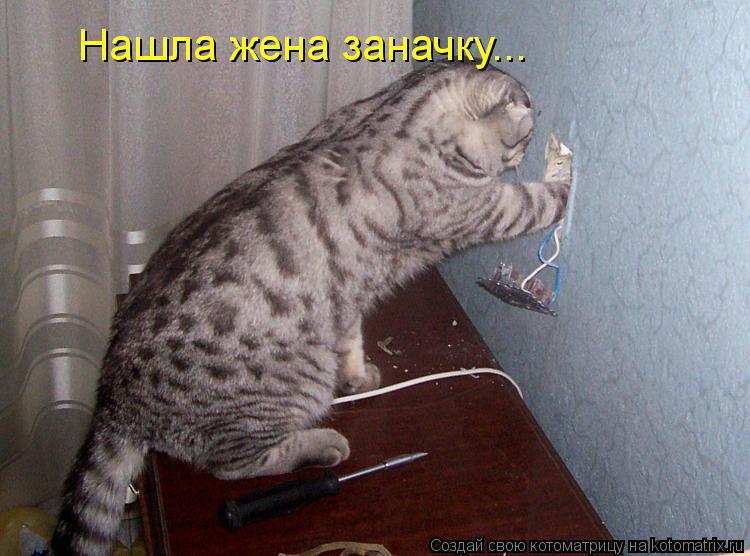 Котоматрица: Нашла жена заначку...
