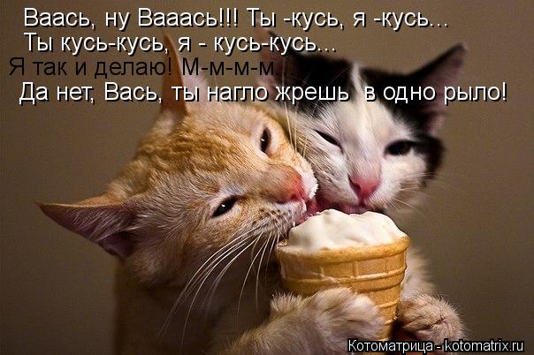 Ваась, ну Вааась!!! Ты -кусь, я -кусь... Ты кусь-кусь, я - кусь-кусь... Я так и делаю! М-м-м-м... Да ... Котоматрица: Ваась, ну Вааась!!! Ты -кусь, я -кусь... Ты кусь-кусь, я - кусь-кусь... Я так и делаю! М-м-м-м... Да нет, Вась, ты нагло жрешь в одно рыло!