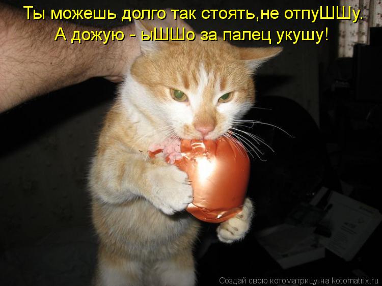 Котоматрица: Ты можешь долго так стоять,не отпуШШу. А дожую - ыШШо за палец укушу!