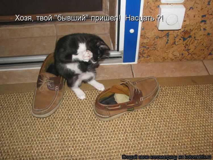 Хозя, твой "бывший" пришел! Насцать ?!... Котоматрица: Хозя, твой "бывший" пришел! Насцать ?!