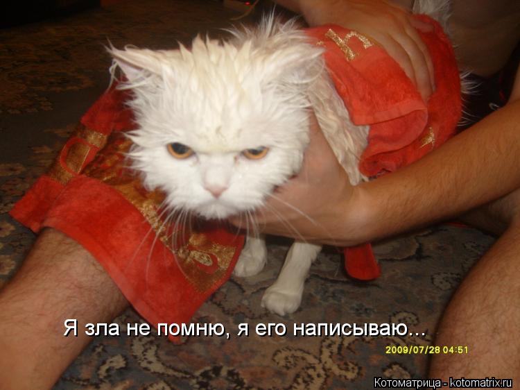 Котоматрица: Я зла не помню, я его написываю...