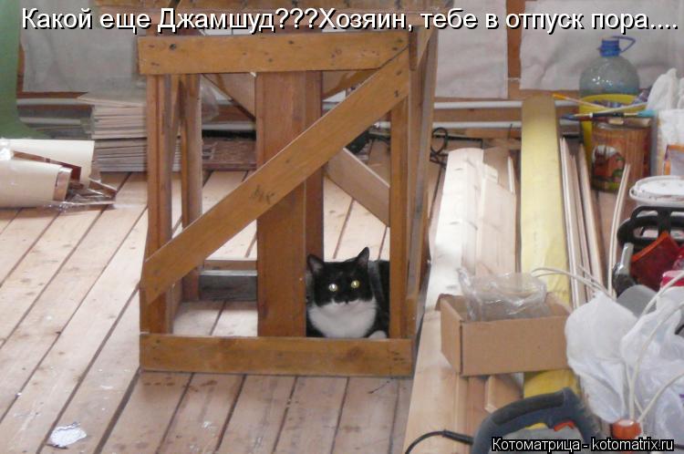 Какой еще Джамшуд???Хозяин, тебе в отпуск пора....... Котоматрица: Какой еще Джамшуд???Хозяин, тебе в отпуск пора....