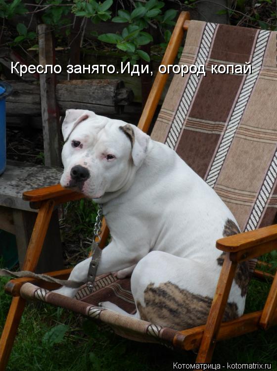 Котоматрица: Кресло занято.Иди, огород копай