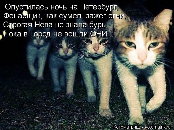 Опустилась ночь на Петербург, Фонарщик, как сумел, зажег огни, Строгая Нева не знала бурь, Пока в Гор... Котоматрица: Опустилась ночь на Петербург, Фонарщик, как сумел, зажег огни, Строгая Нева не знала бурь, Пока в Город не вошли ОНИ...