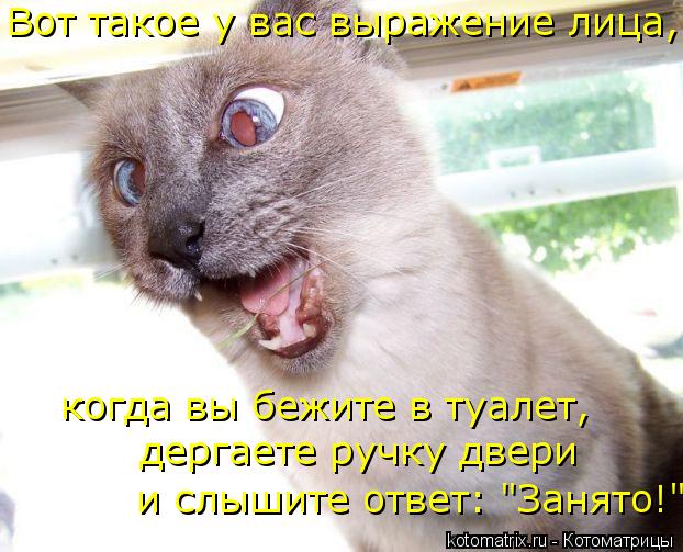 Вот такое у вас выражение лица, когда вы бежите в туалет, дергаете ручку двери и слышите ответ: "Заня... Котоматрица: Вот такое у вас выражение лица, когда вы бежите в туалет, дергаете ручку двери и слышите ответ: "Занято!" Вот такое у вас выражение лица, ког