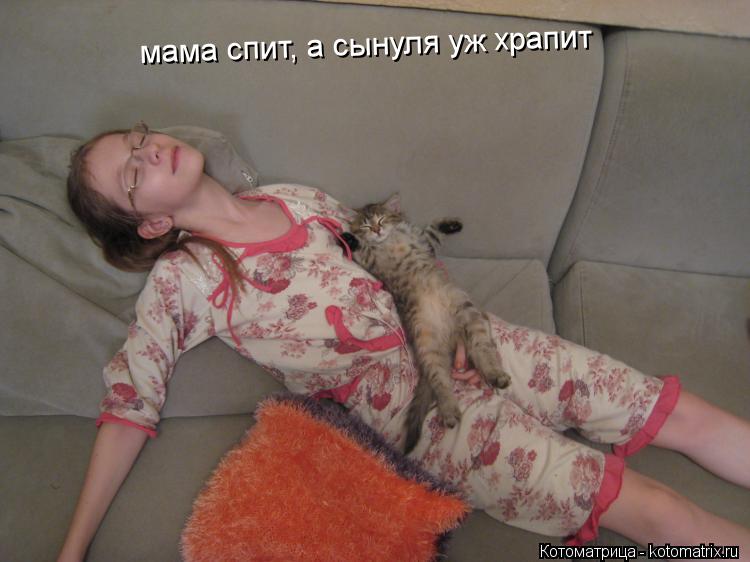 Котоматрица: мама спит, а сынуля уж храпит