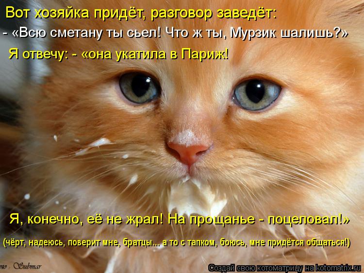Вот хозяйка придёт, разговор заведёт: - «Всю сметану ты сьел! Что ж ты, Мурзик шалишь?» Я отвечу: - «... Котоматрица: Вот хозяйка придёт, разговор заведёт: - «Всю сметану ты сьел! Что ж ты, Мурзик шалишь?» Я отвечу: - «она укатила в Париж! Я, конечно, её не жрал!