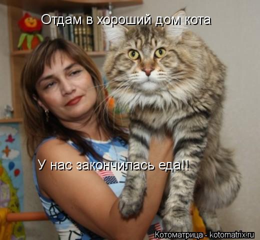 Котоматрица: Отдам в хороший дом кота У нас закончилась еда!!