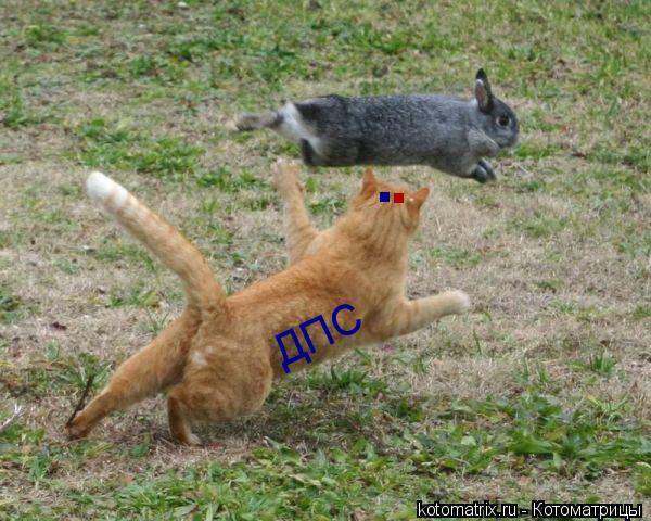 . . ДПС... Котоматрица: . . ДПС