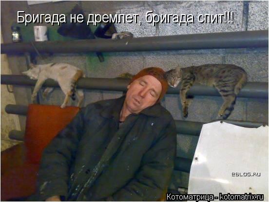 Котоматрица: Бригада не дремлет, бригада спит!!!