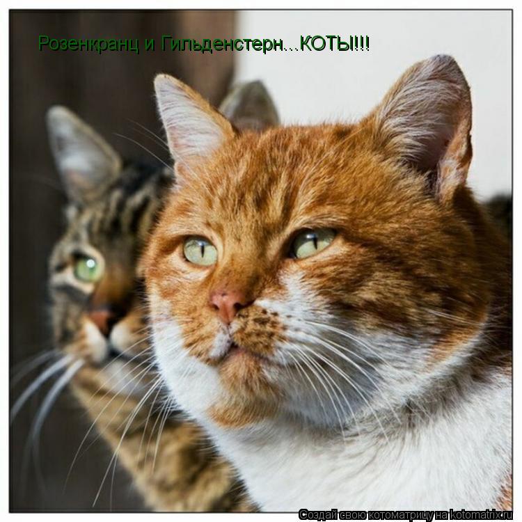 Розенкранц и Гильденстерн...КОТЫ!!!... Котоматрица: Розенкранц и Гильденстерн...КОТЫ!!!