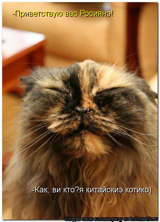 Котоматрица: -Приветствую вас Росиянэ! -Как, ви кто?я китайскиэ котико)