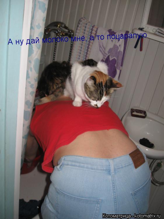 А ну дай молоко мне, а то поцарапую А ну дай молоко мне, а то поцарапую А ну дай молоко мне, а то поц... Котоматрица: А ну дай молоко мне, а то поцарапую А ну дай молоко мне, а то поцарапую А ну дай молоко мне, а то поцарапую