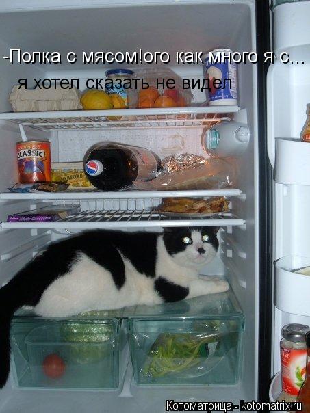 -Полка с мясом!ого как много я с... я хотел сказать не видел... Котоматрица: -Полка с мясом!ого как много я с... я хотел сказать не видел