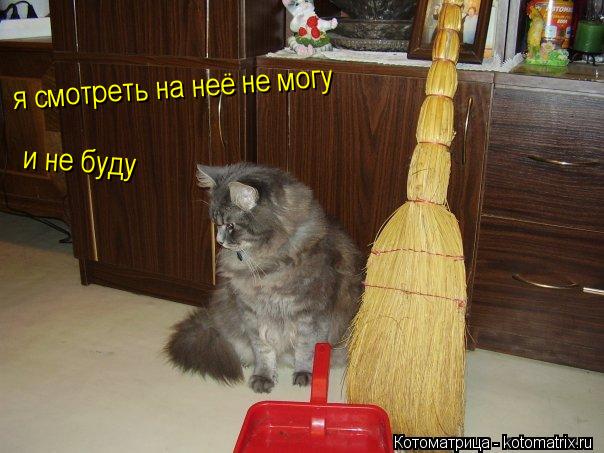 Котоматрица: я смотреть на неё не могу и не буду