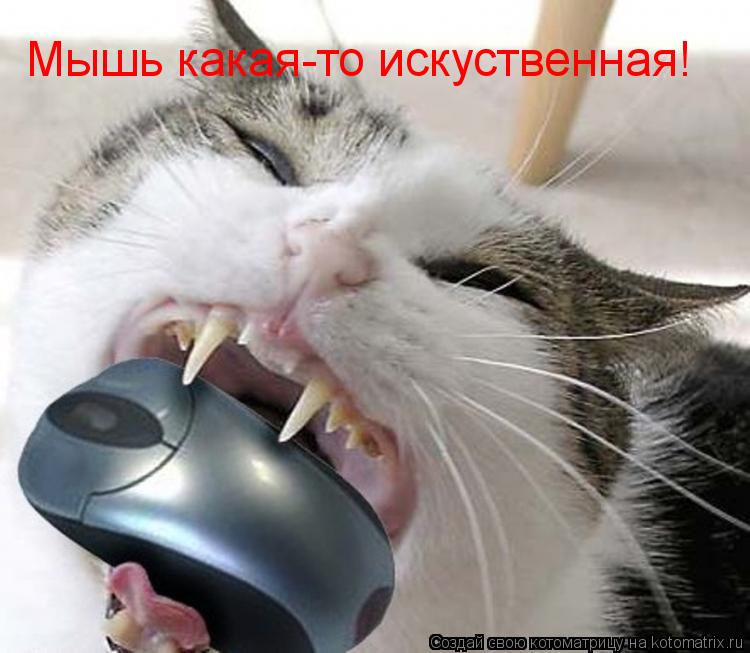 Котоматрица: Мышь какая-то искуственная!