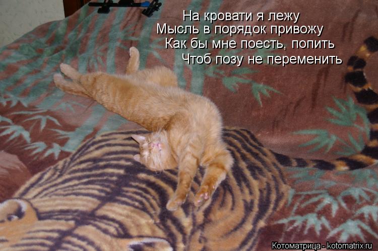 На кровати я лежу Мысль в порядок привожу Как бы мне поесть, попить Чтоб позу не переменить... Котоматрица: На кровати я лежу Мысль в порядок привожу Как бы мне поесть, попить Чтоб позу не переменить
