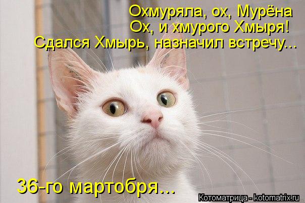 Котоматрица: Охмуряла, ох, Мурёна Ох, и хмурого Хмыря! Сдался Хмырь, назначил встречу... 36-го мартобря...
