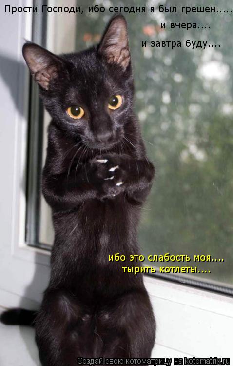 Прости Господи, ибо сегодня я был грешен..... и вчера.... и завтра буду.... ибо это слабость моя.... ... Котоматрица: Прости Господи, ибо сегодня я был грешен..... и вчера.... и завтра буду.... ибо это слабость моя.... тырить котлеты....