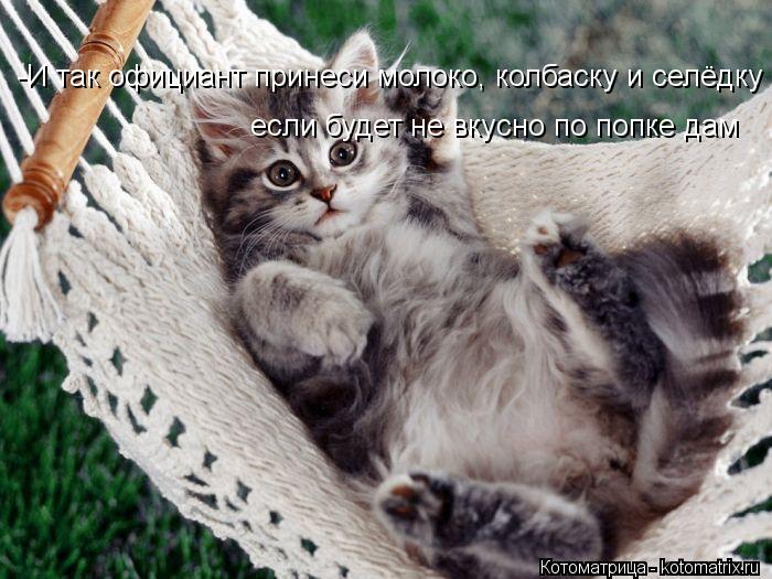 Котоматрица: -И так официант принеси молоко, колбаску и селёдку если будет не вкусно по попке дам