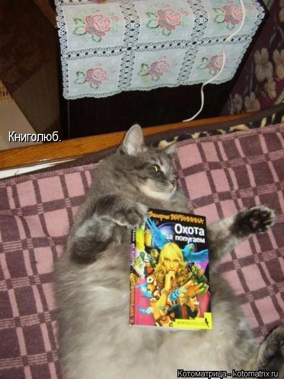 Котоматрица: Книголюб.