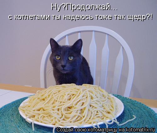 Котоматрица: Ну?Продолжай... с котлетами ты надеюсь тоже так щедр?!