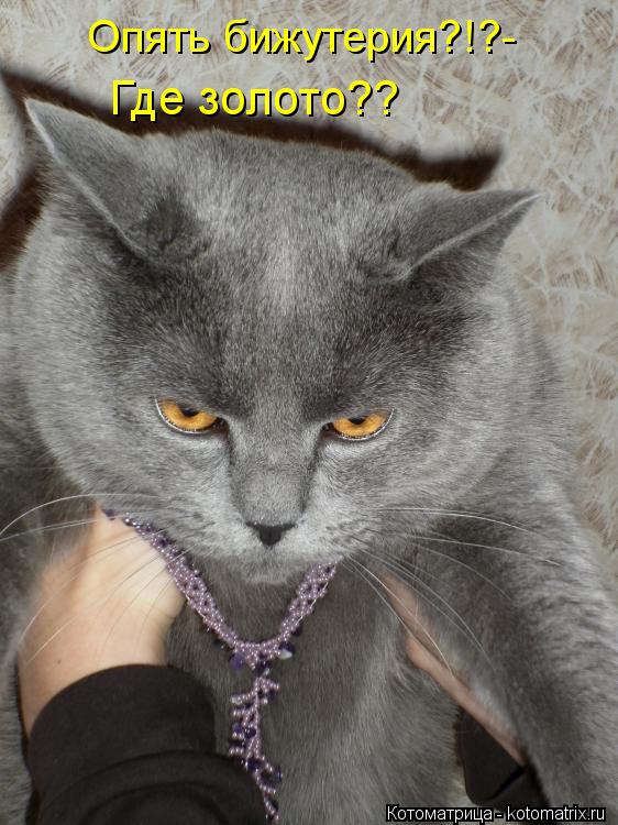 Опять бижутерия?!?- Где золото??... Котоматрица: Опять бижутерия?!?- Где золото??