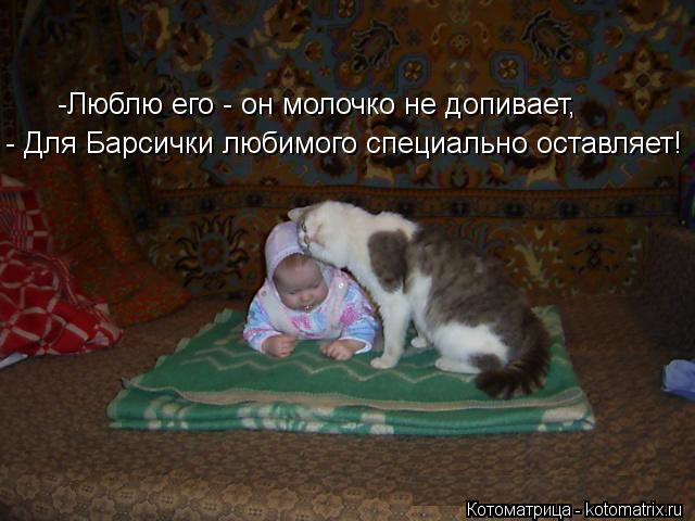 Котоматрица: -Люблю его - он молочко не допивает, - Для Барсички любимого специально оставляет!