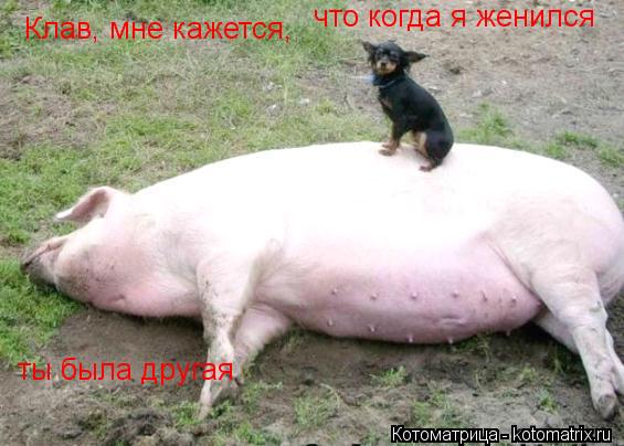 Клав, мне кажется, Клав, мне кажется, что когда я женился что когда я женился ты была другая... Котоматрица: Клав, мне кажется, Клав, мне кажется, что когда я женился что когда я женился ты была другая