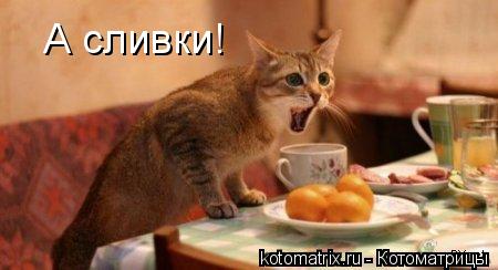 Котоматрица: А сливки!
