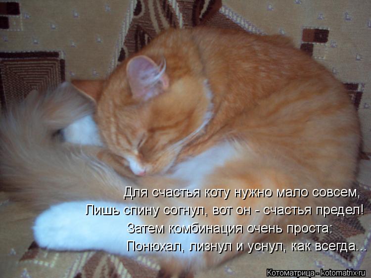 Котоматрица: Для счастья коту нужно мало совсем, Лишь спину согнул, вот он - счастья предел! Затем комбинация очень проста: Понюхал, лизнул и уснул, как вс
