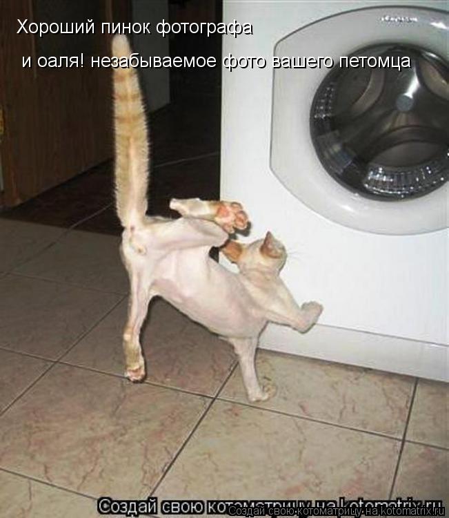 Котоматрица: Хороший пинок фотографа и оаля! незабываемое фото вашего петомца