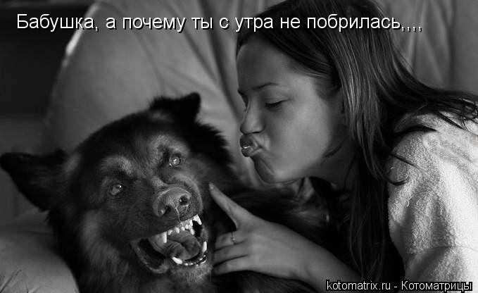 Бабушка, а почему ты с утра не побрилась,,,,... Котоматрица: Бабушка, а почему ты с утра не побрилась,,,,