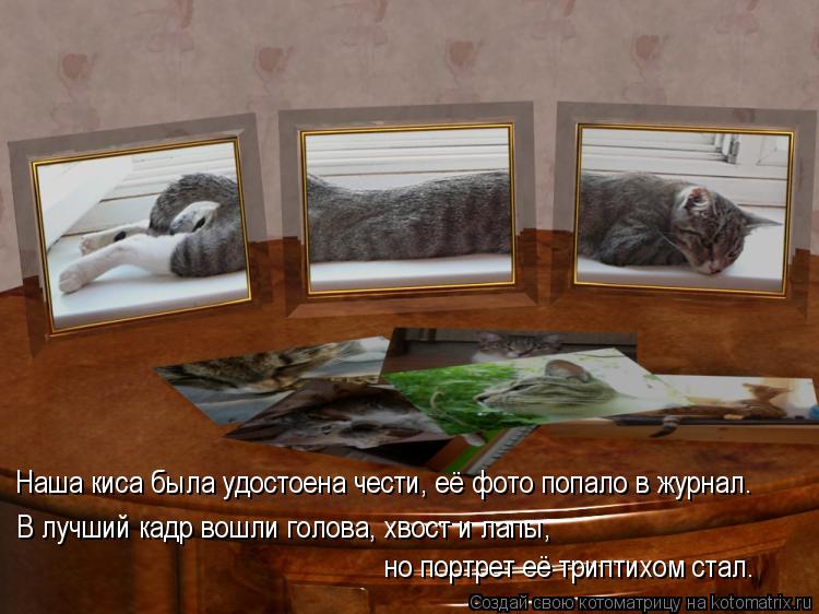 Наша киса была удостоена чести, её фото попало в журнал. В лучший кадр вошли голова, хвост и лапы, но... Котоматрица: Наша киса была удостоена чести, её фото попало в журнал. В лучший кадр вошли голова, хвост и лапы, но портрет её триптихом стал.