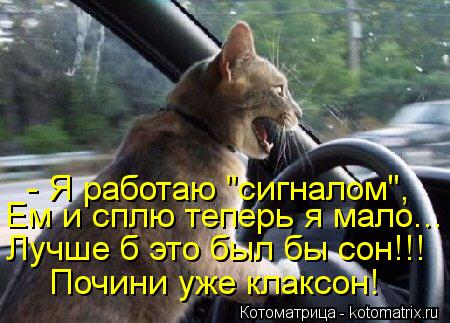 - Я работаю "сигналом", Ем и сплю теперь я мало... Лучше б это был бы сон!!! Почини уже клаксон!... Котоматрица: - Я работаю "сигналом", Ем и сплю теперь я мало... Лучше б это был бы сон!!! Почини уже клаксон!