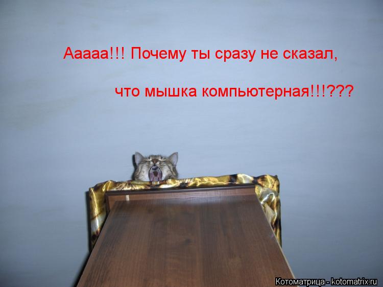 Ааааа!!! Почему ты сразу не сказал, что мышка компьютерная!!!???... Котоматрица: Ааааа!!! Почему ты сразу не сказал, что мышка компьютерная!!!???
