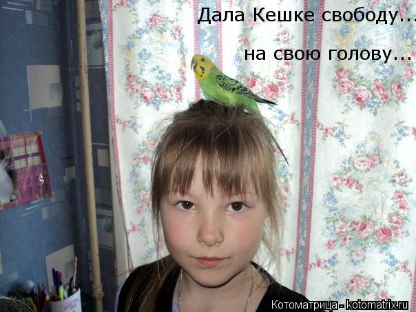 Котоматрица: Дала Кешке свободу... на свою голову...